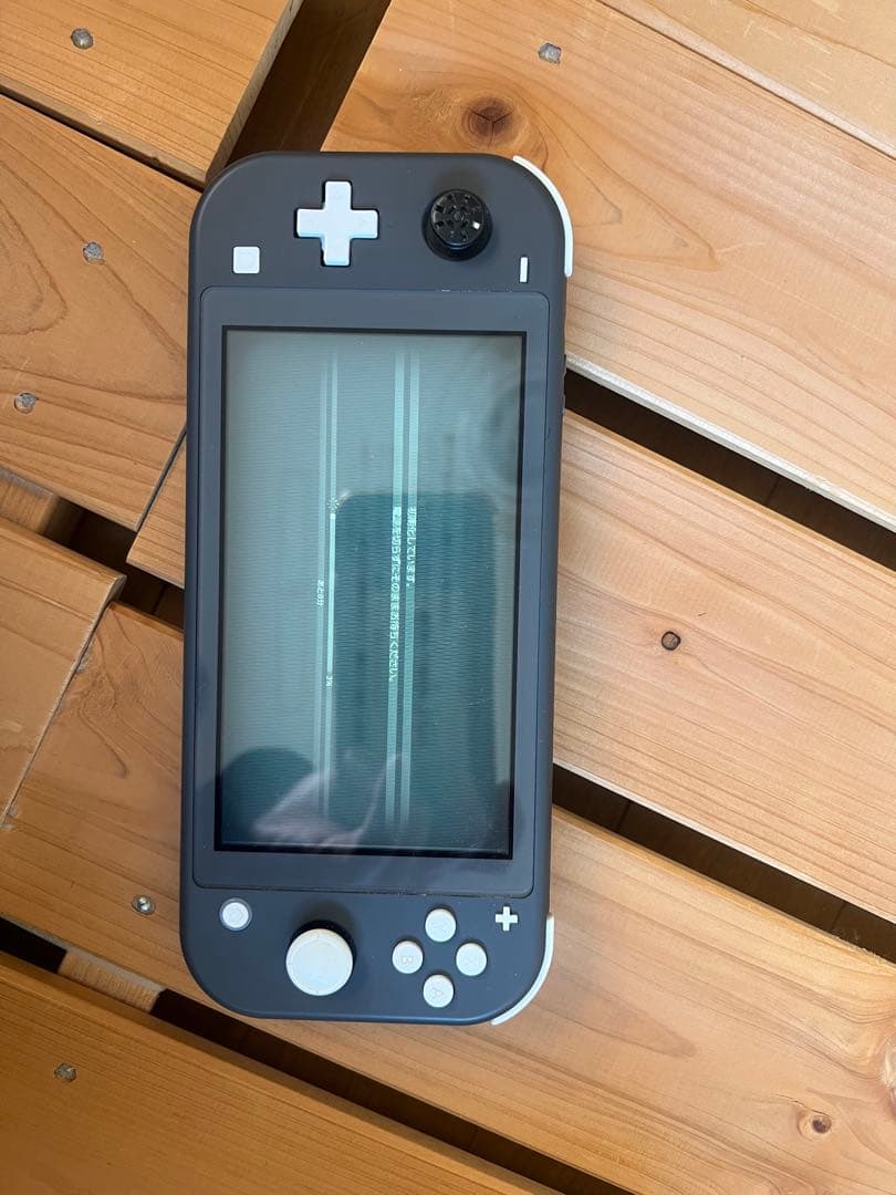 【ジャンク品】Nintendo Switch Lite グレー 本体