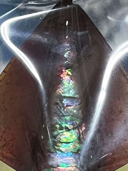 シーファルコン まんま活イカ 120g アワビスペシャル
