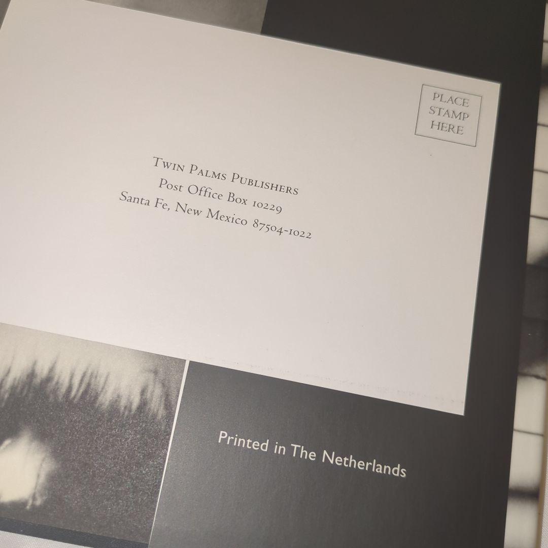 アート・デザイン・音楽 Debbie Fleming Caffery: The Shadows