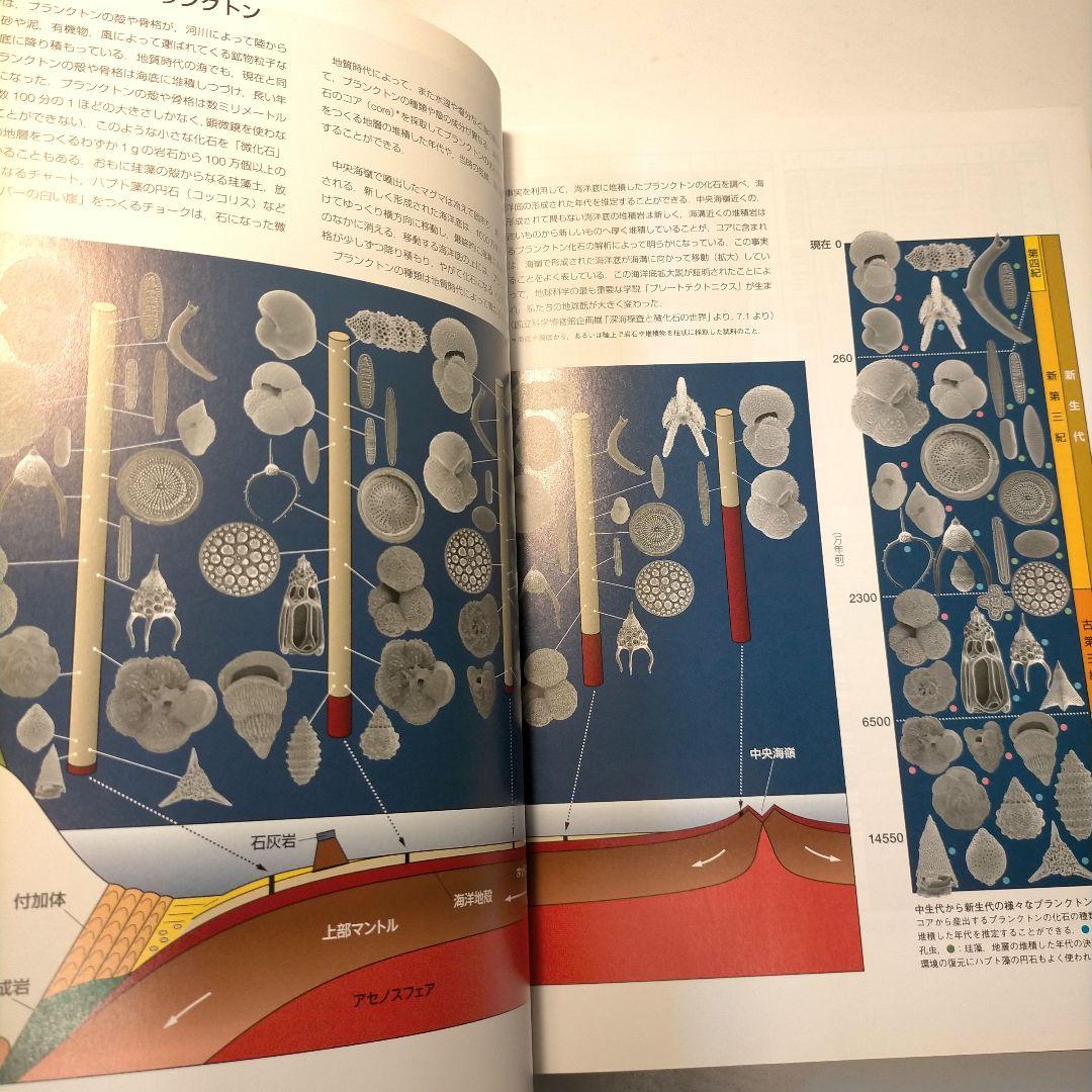 微化石 顕微鏡で見るプランクトン化石の世界