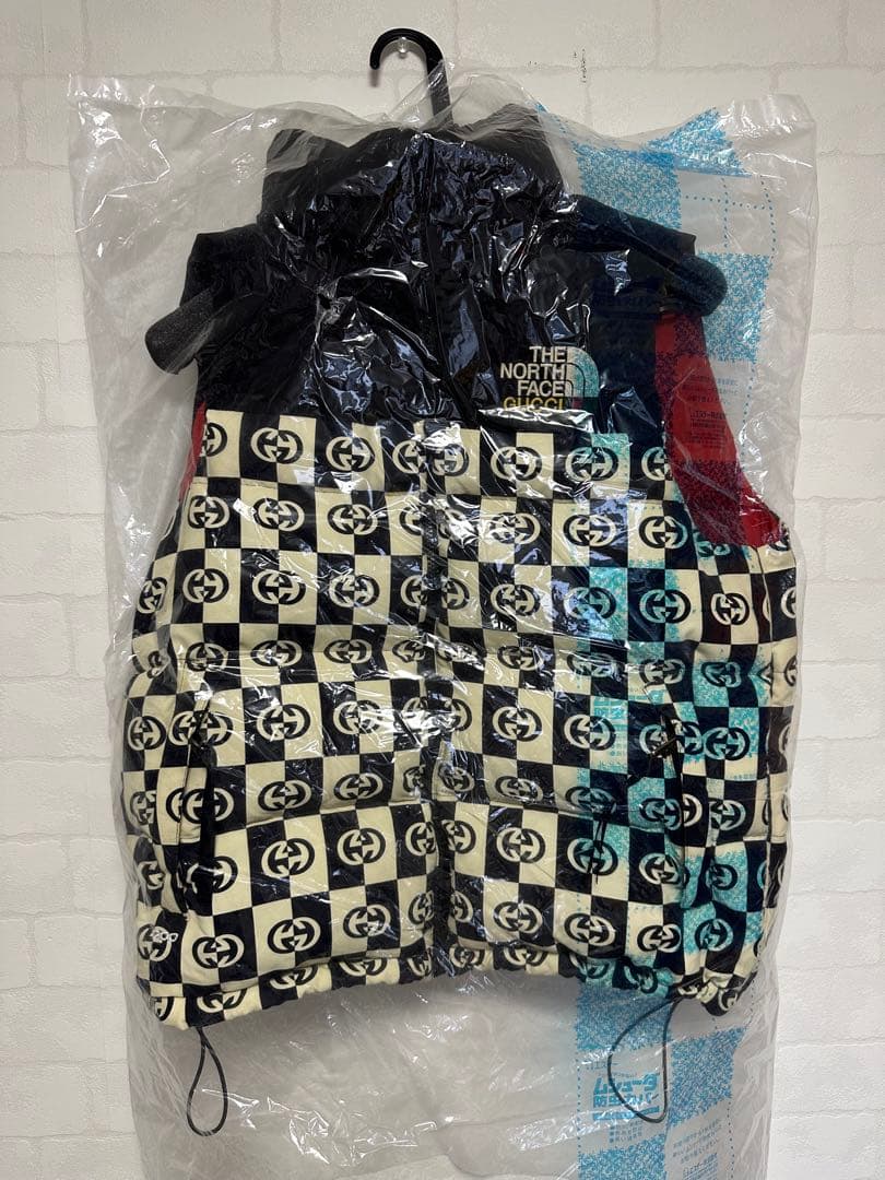 GUCCI × NORTH FACE ダウンベスト コラボ　サイズM21AW