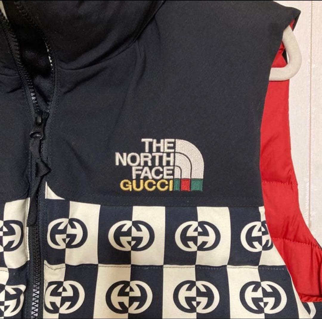 GUCCI × NORTH FACE ダウンベスト コラボ　サイズM21AW