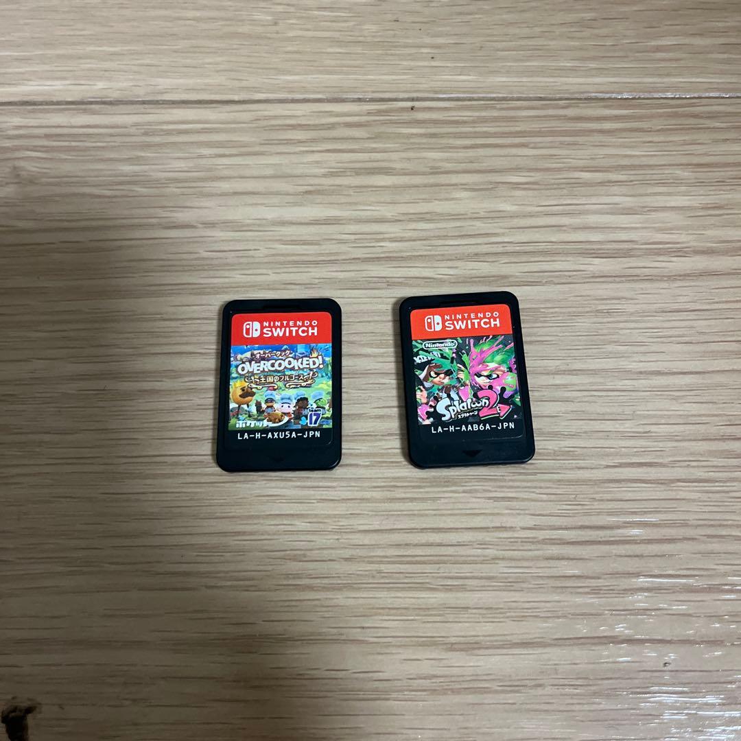 Nintendo Switch Lite グレー 本体 収納ケース付き