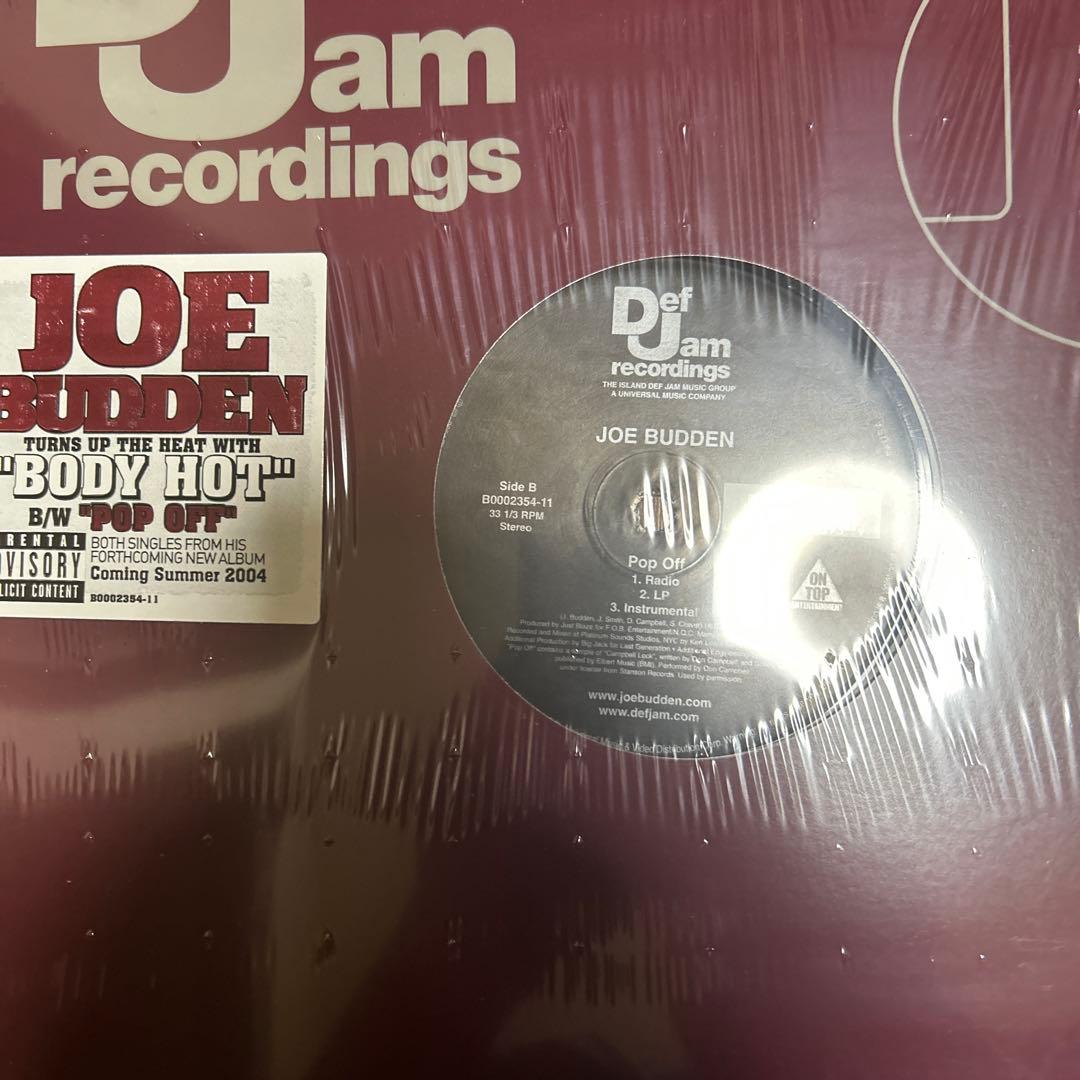 00’年代HIPHOP 10枚セットLL Cool J,Joe Budden 他