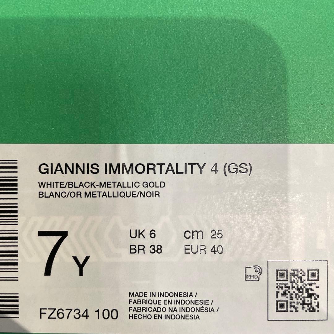 シューズ(男性用) NIKE GIANNIS immortality 4 GS