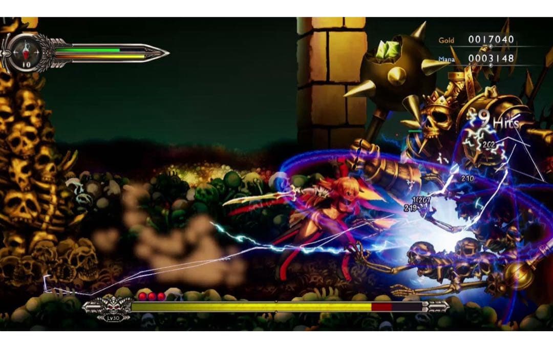 Nintendo Switch Sword of the Vagrant switch