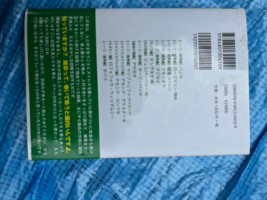 雑草で酔う　青井硝子