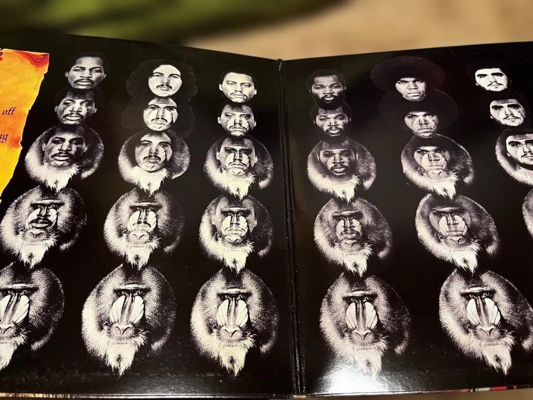 ファンクLP 7枚セット James Brown, Prince, Rufus