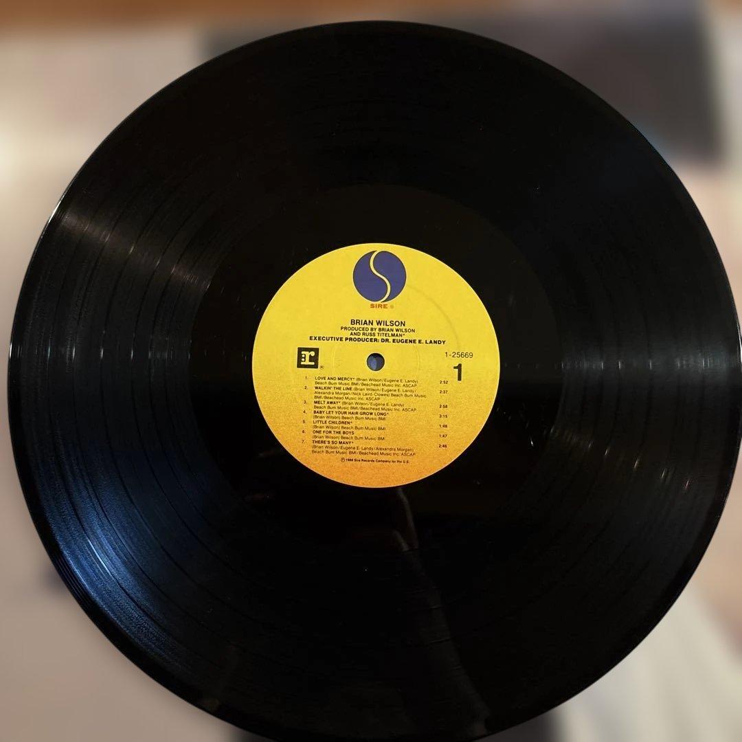 Brian Wilson アナログレコード 12インチ