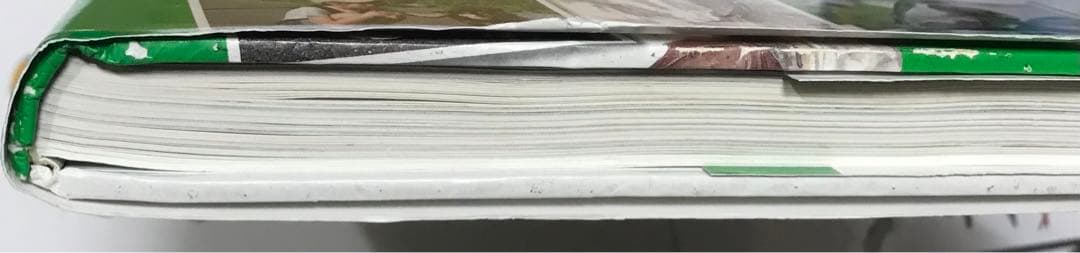 図鑑いろいろ17冊　　まとめ売り