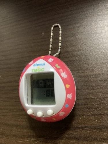 【動作確認済】バンダイ　ポケモン　たまごっち　イーブイ　カラフルフレンズ　レッド