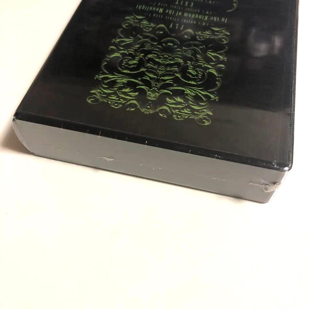 【未開封 VHS】PENICILLIN/ FLYフライ　フューチャリング千聖