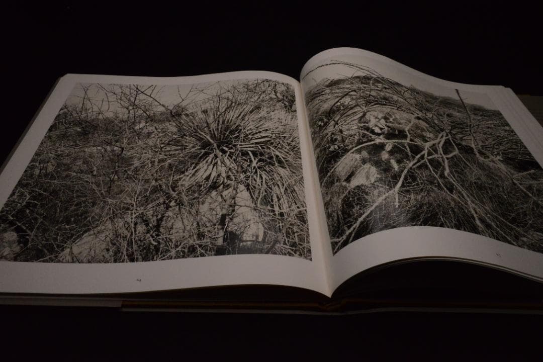 【The Desert Seen】Lee Friedlander　未読、美品