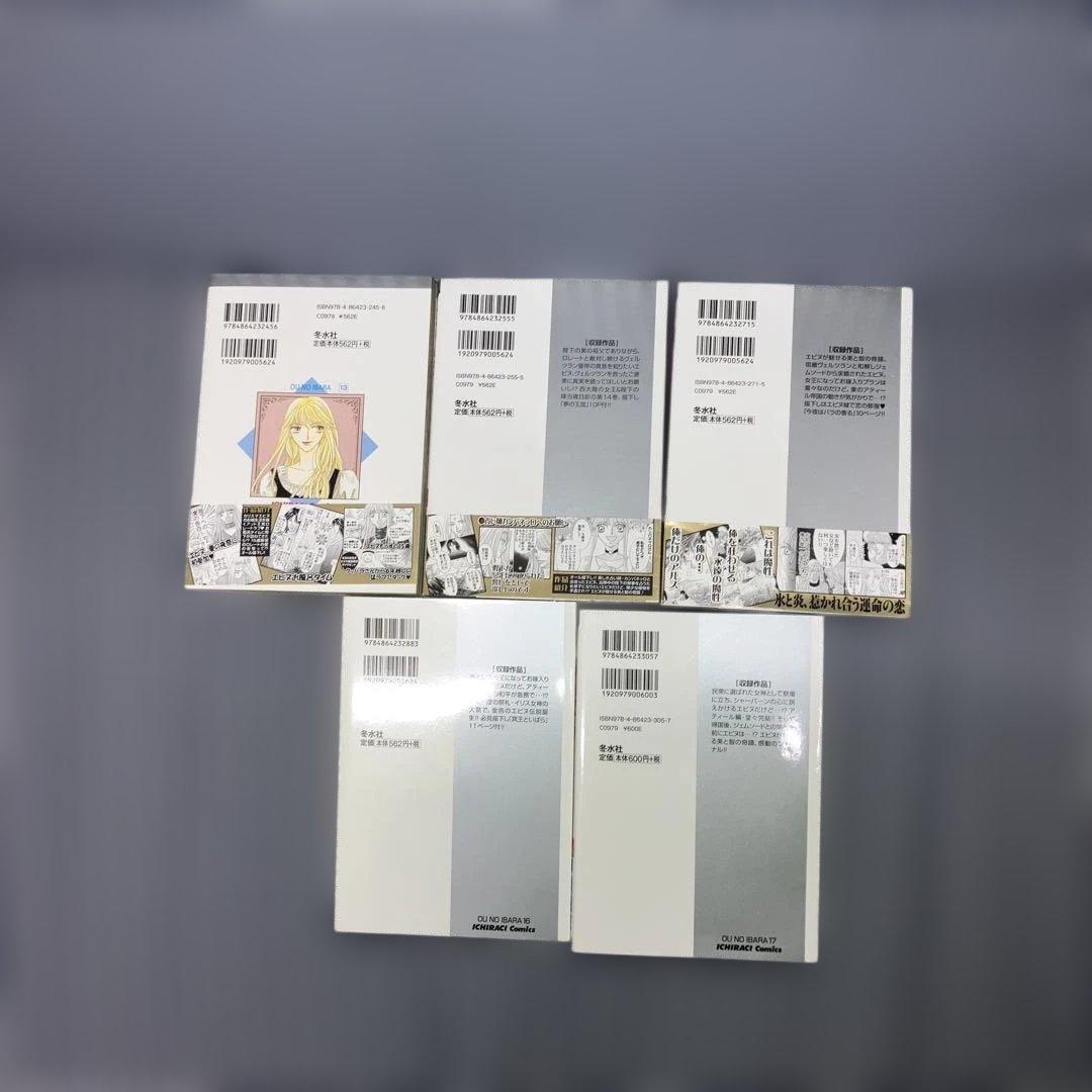 王のいばら 全17巻　　　王のいばら外伝 全12巻　戸川視友【全巻初版発行】