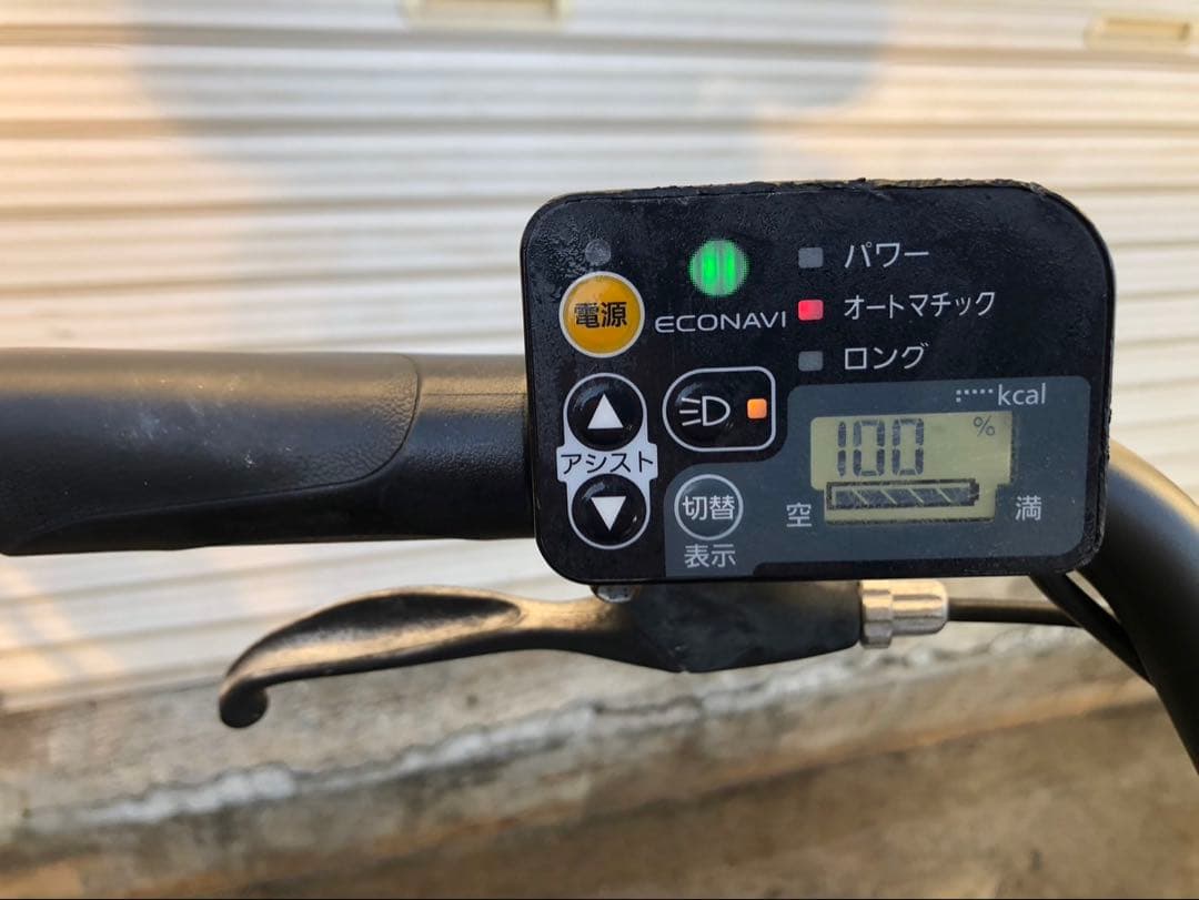 キク(送料、防犯登録代込み)