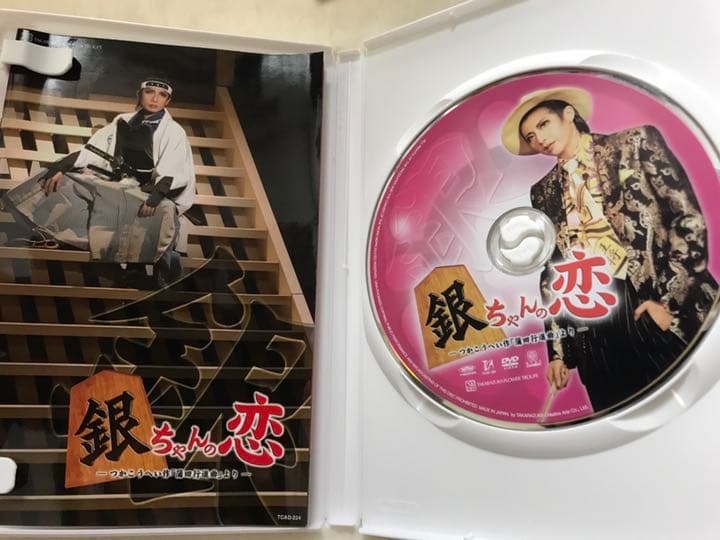 宝塚DVD 銀ちゃんの恋