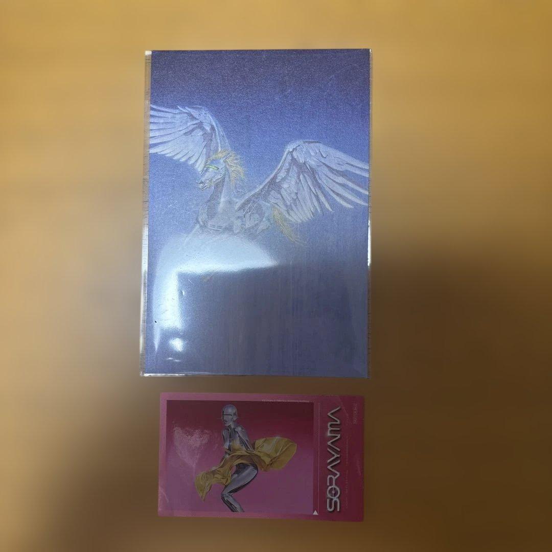 空山基 SORAYAMA THE GYNOIDS SUBLIME