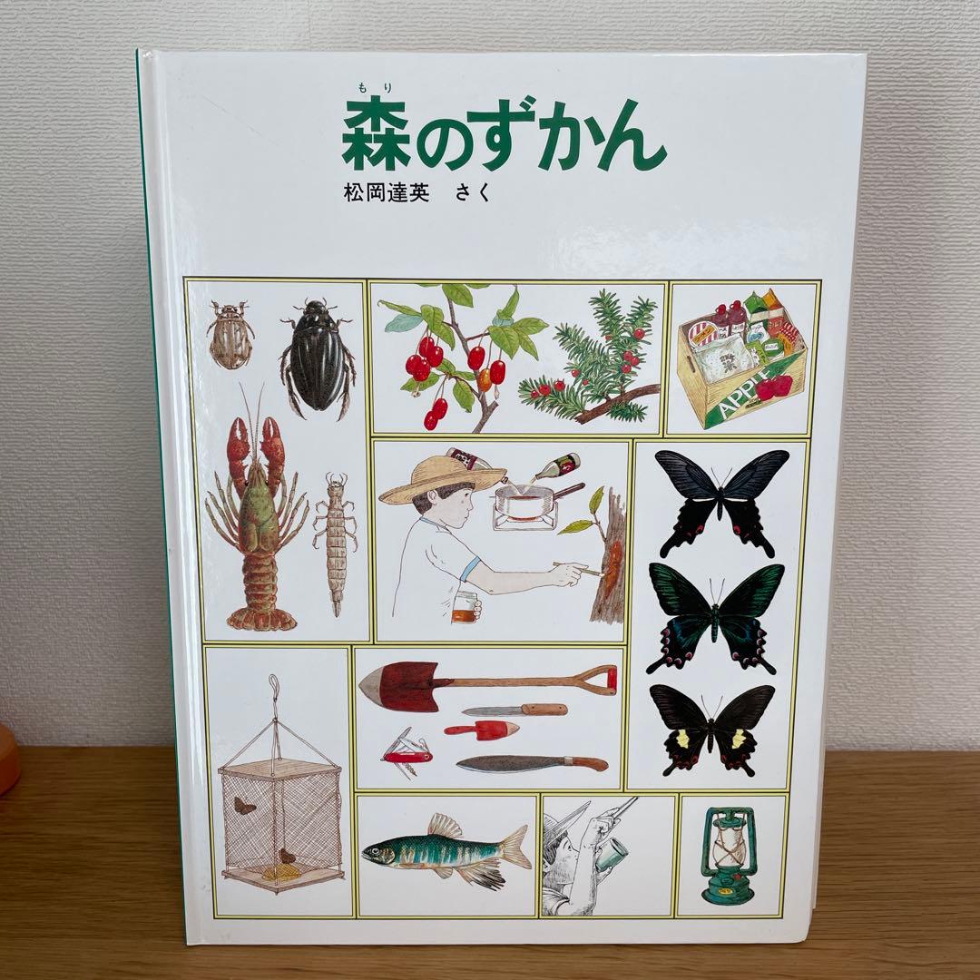 夏の虫 夏の花 645種の身近な生きものの世界