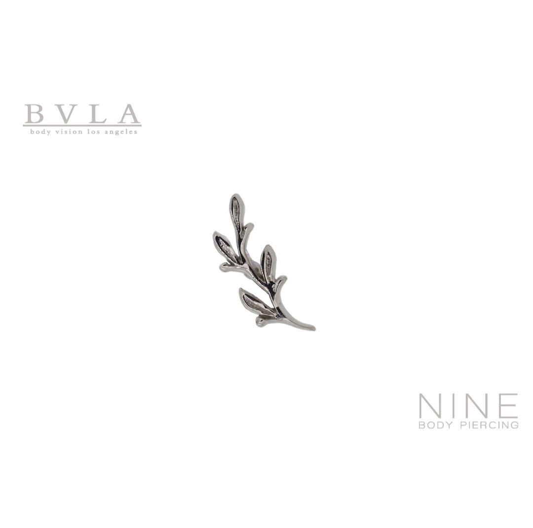 【ゆえ】BVLA Amity アミティ (2セット)