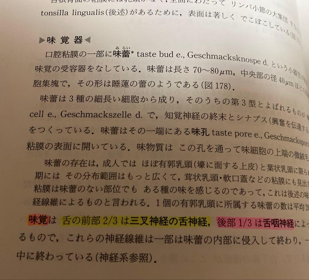 人体解剖学