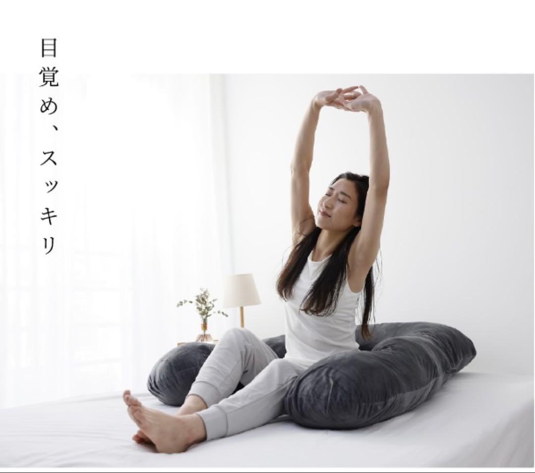 本日限定割引　美品 ハグモッチ 抱き枕 ふわもち 妊婦 クッション カバー2枚