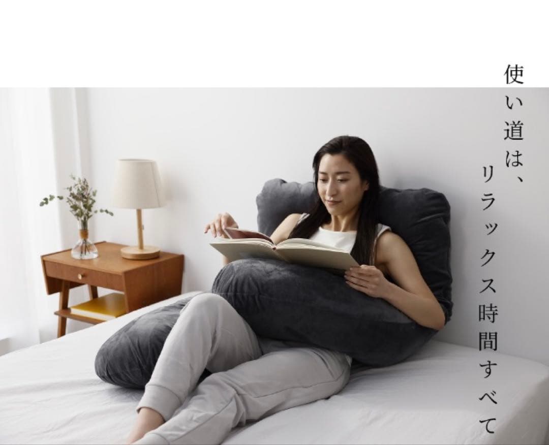 本日限定割引　美品 ハグモッチ 抱き枕 ふわもち 妊婦 クッション カバー2枚