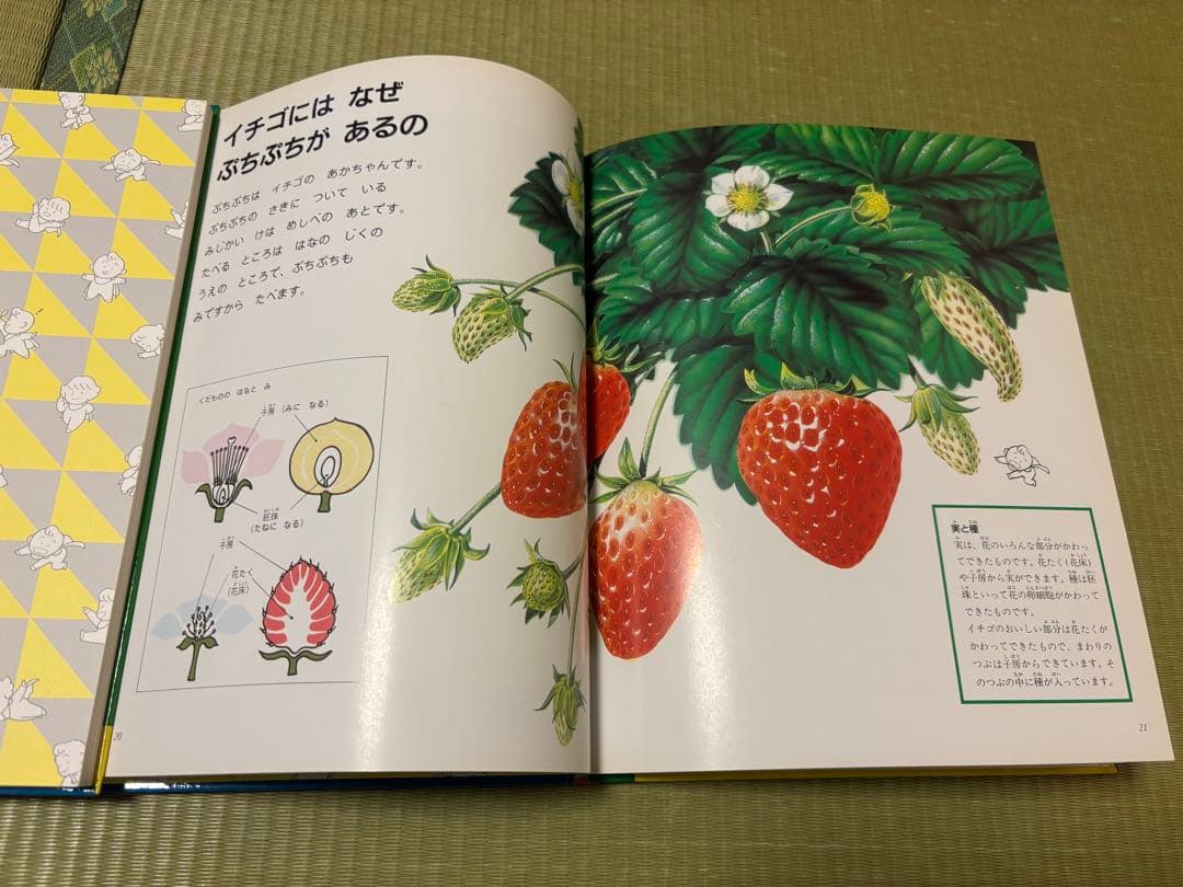 【美品】家庭保育園　なぜなにブック　全22巻セット