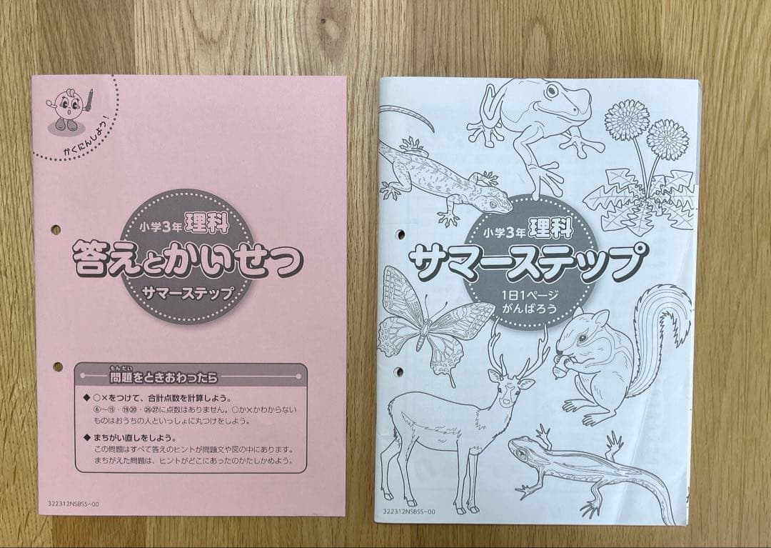 SAPIX サピックス 3年生　年間学習法&通塾の手引き テキスト　季節講習