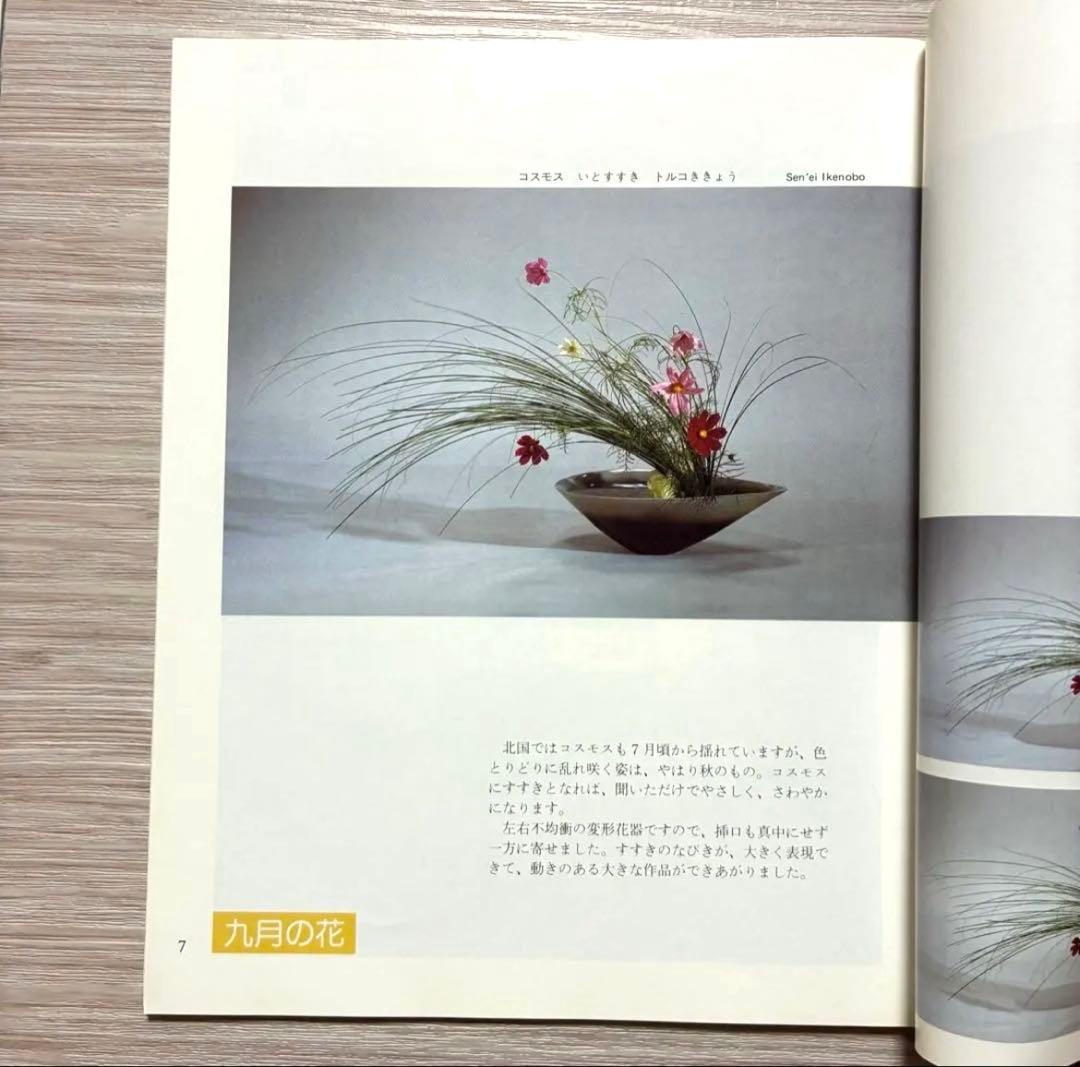ざ・いけのぼう　1984年09月号　昭和59年　池坊　雑誌
