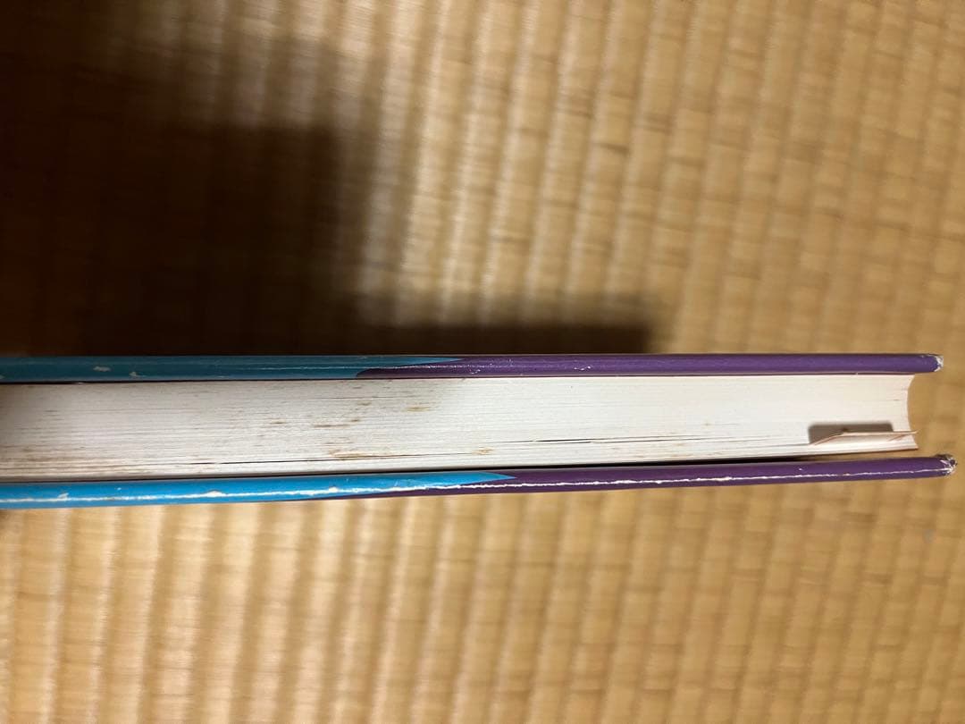人類は生き残れるか　日本に秘められた真言を解く　　　　浜本末造 橘香道　般若心経