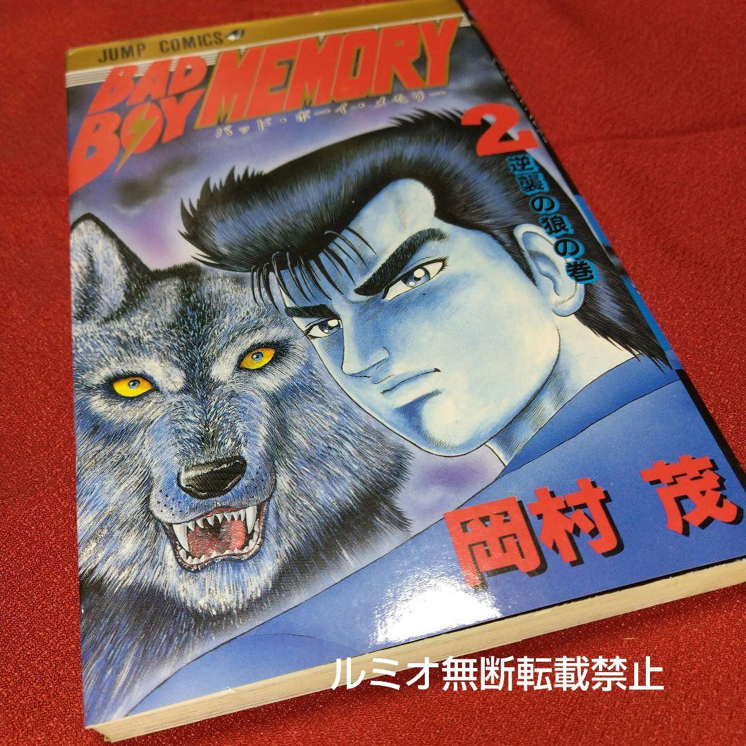 BAD BOY MEMORY(全巻セット)岡村茂