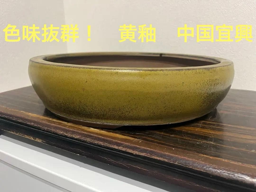 発色抜群　黄釉　中国古盆器　宣興　丸鉢　盆栽鉢
