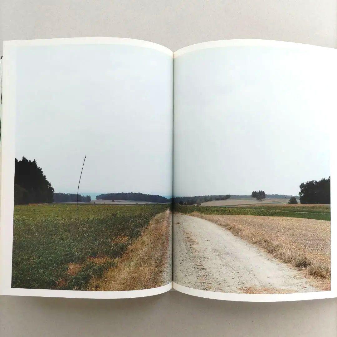 thomas struth:Dandelion Room/写真集 作品集 洋書