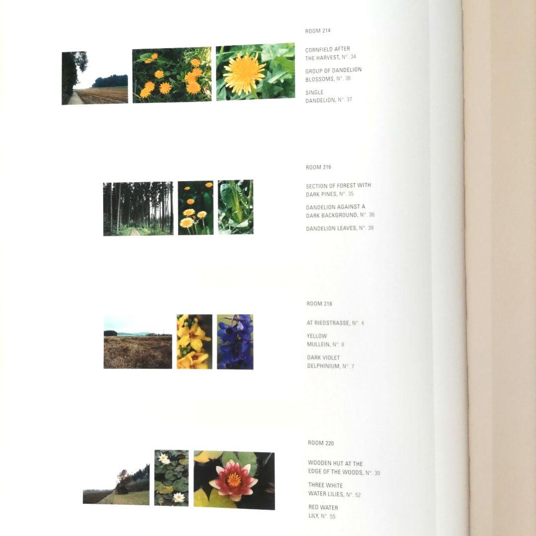 thomas struth:Dandelion Room/写真集 作品集 洋書