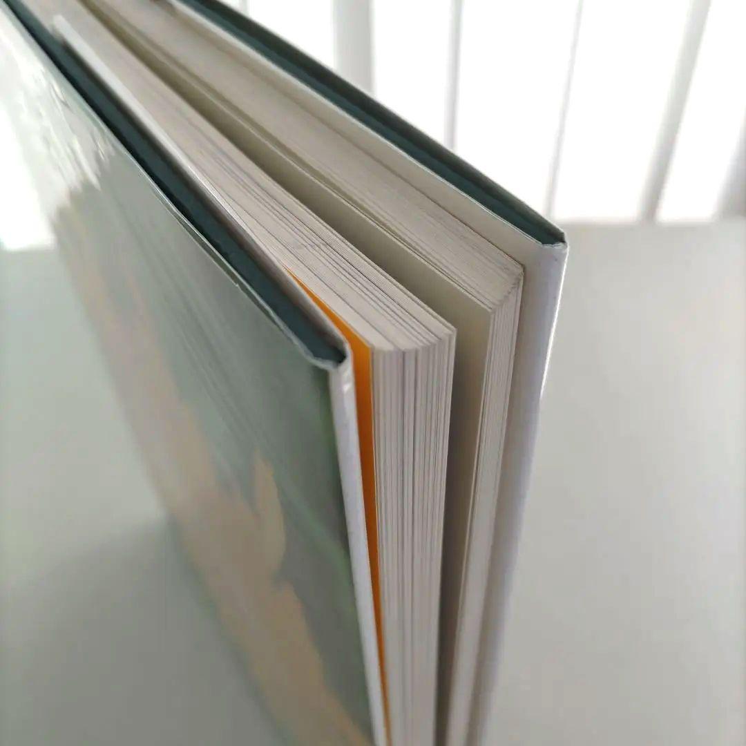 thomas struth:Dandelion Room/写真集 作品集 洋書
