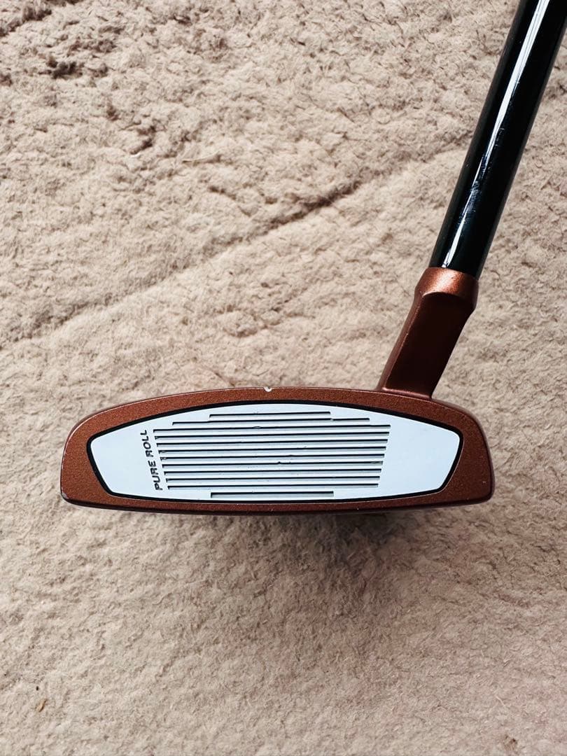 TaylorMade テーラーメイド Spider X スパイダーX 34インチ