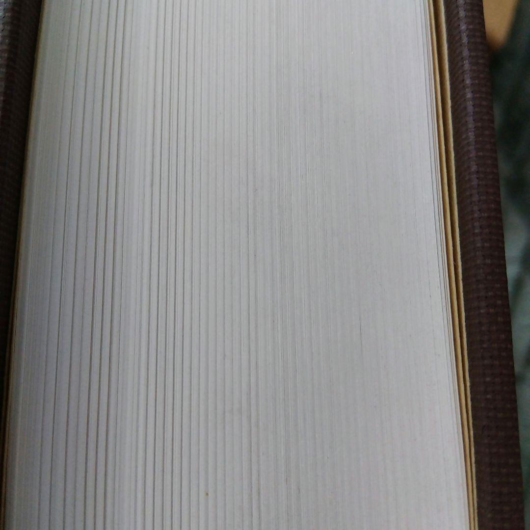 図説佛教語大辞典 /中村　元編著