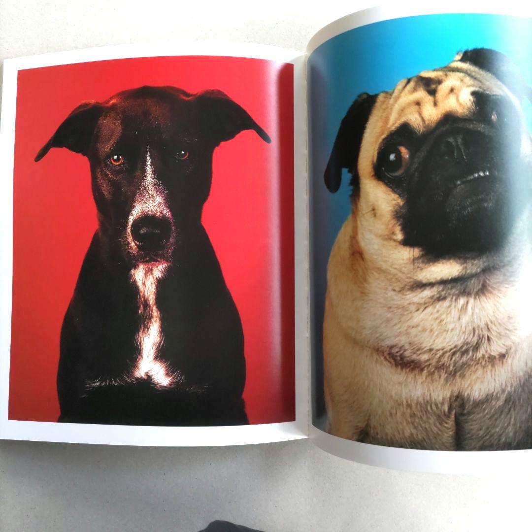 Everyday Things:Neil Winokur/写真集 作品集 洋書