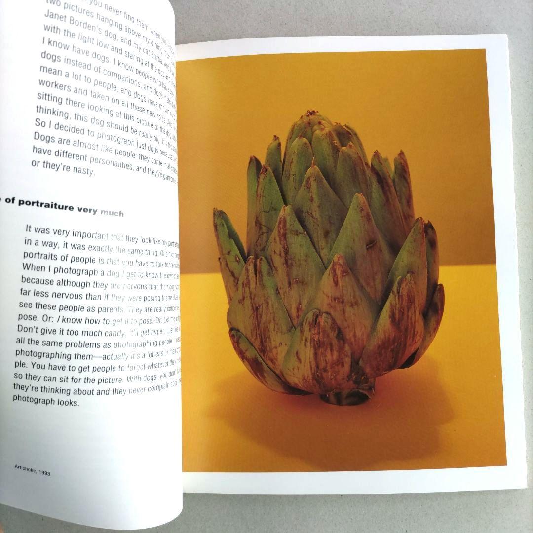 Everyday Things:Neil Winokur/写真集 作品集 洋書