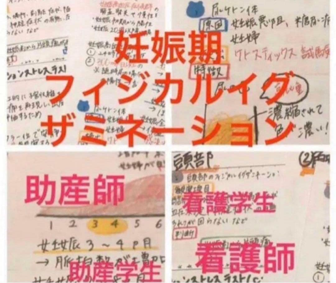 助産師　助産学生　看護師　看護学生　妊娠期　分娩期　産褥期フィジカルアセスメント