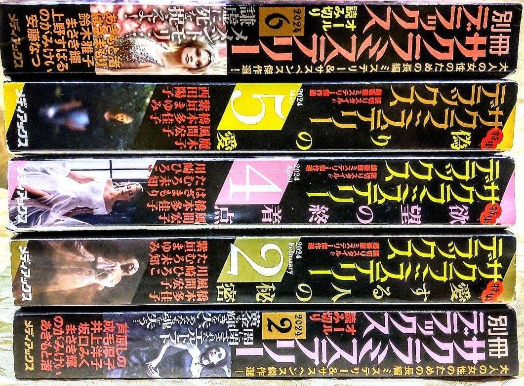 レディースコミックお得用21冊セット! サクラミステリー等10冊ぷち本愉快11冊