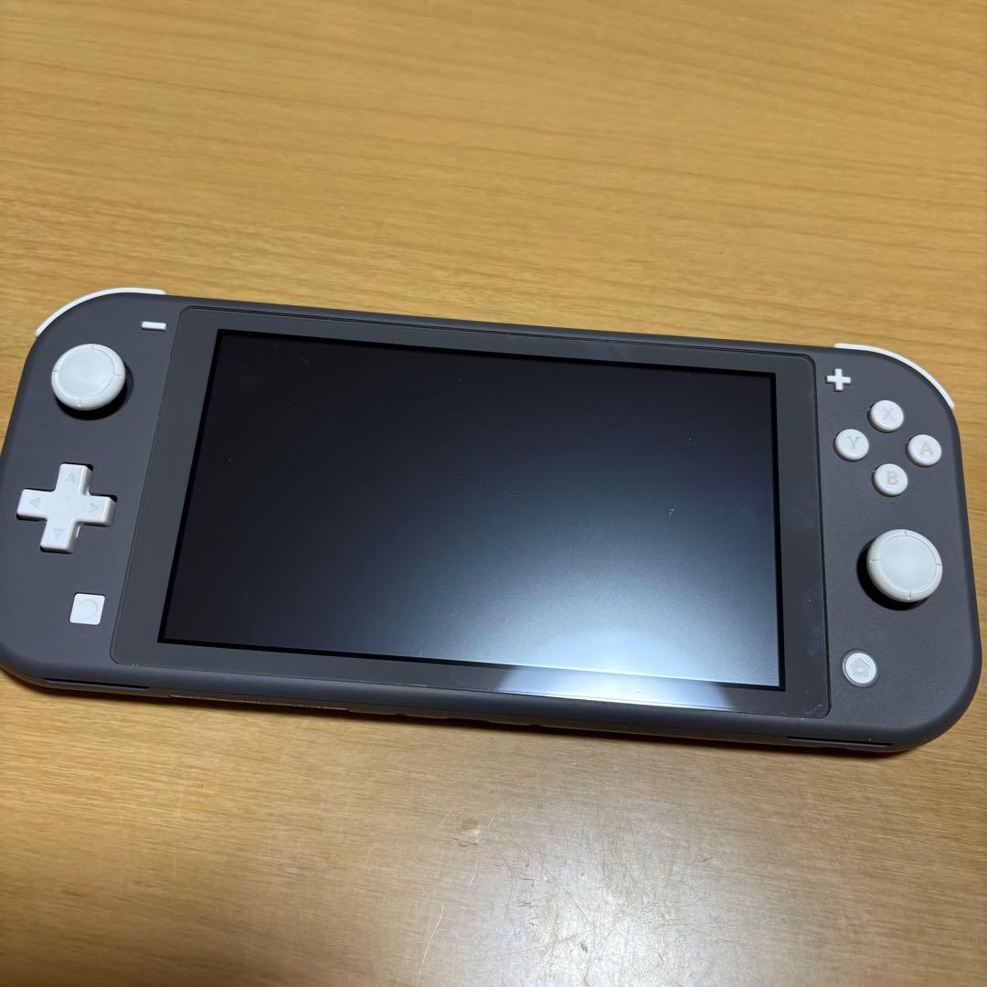 Nintendo Switch Lite 本体　ケース