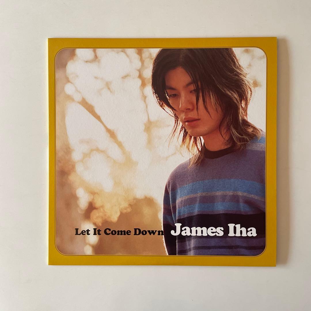 洋楽 James Iha Let It Come Down LP Vinyl