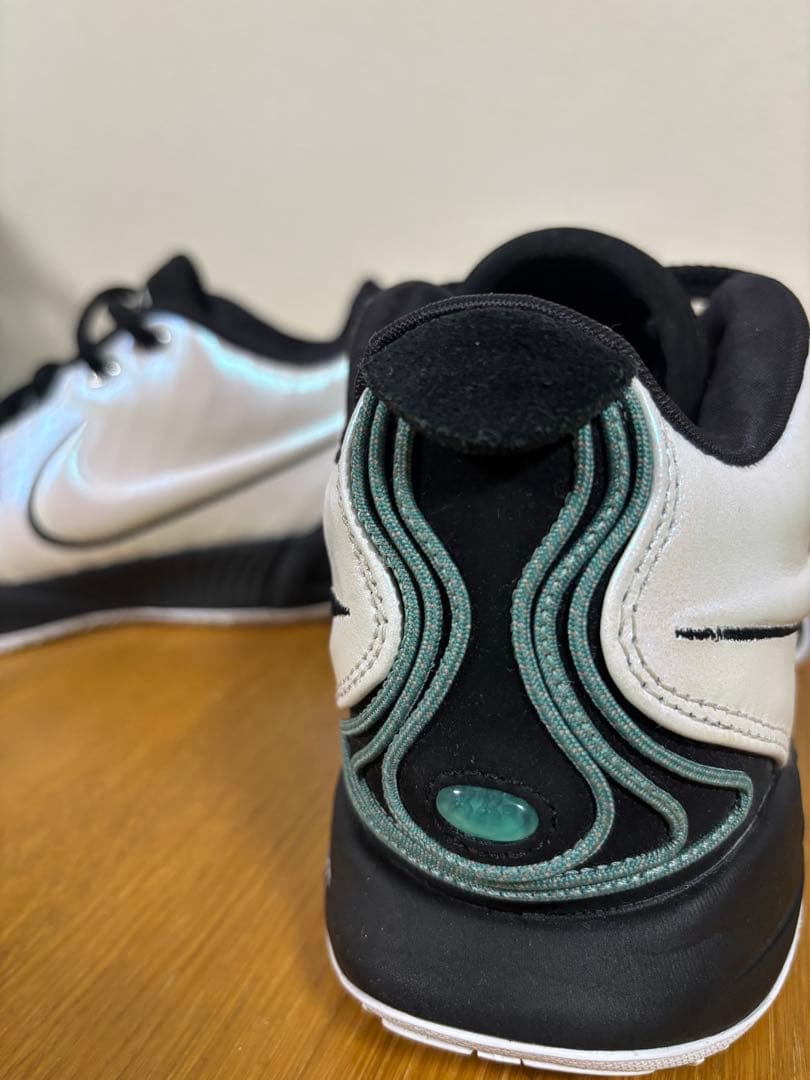 NIKE LEBRON XXXI EP レブロン 21 25.5cm