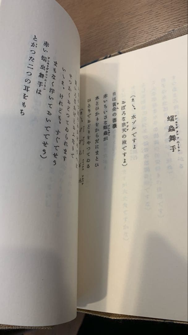 【保護函付】春と修羅 宮沢賢治 名著複刻全集　近代文学館
