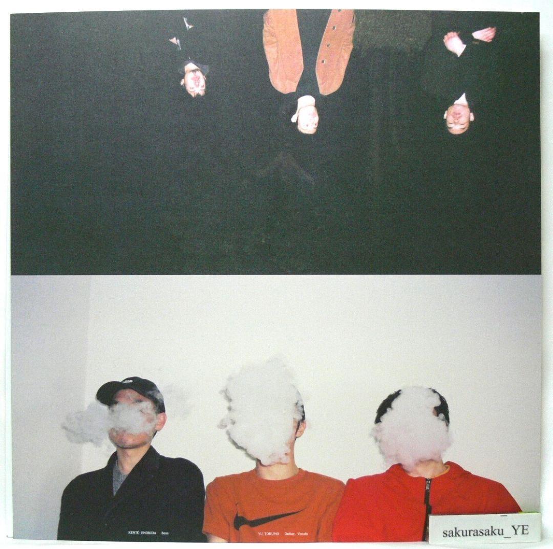 未使用品アナログレコードLP ※ 白ジャケット　WOOL & THE PANTS