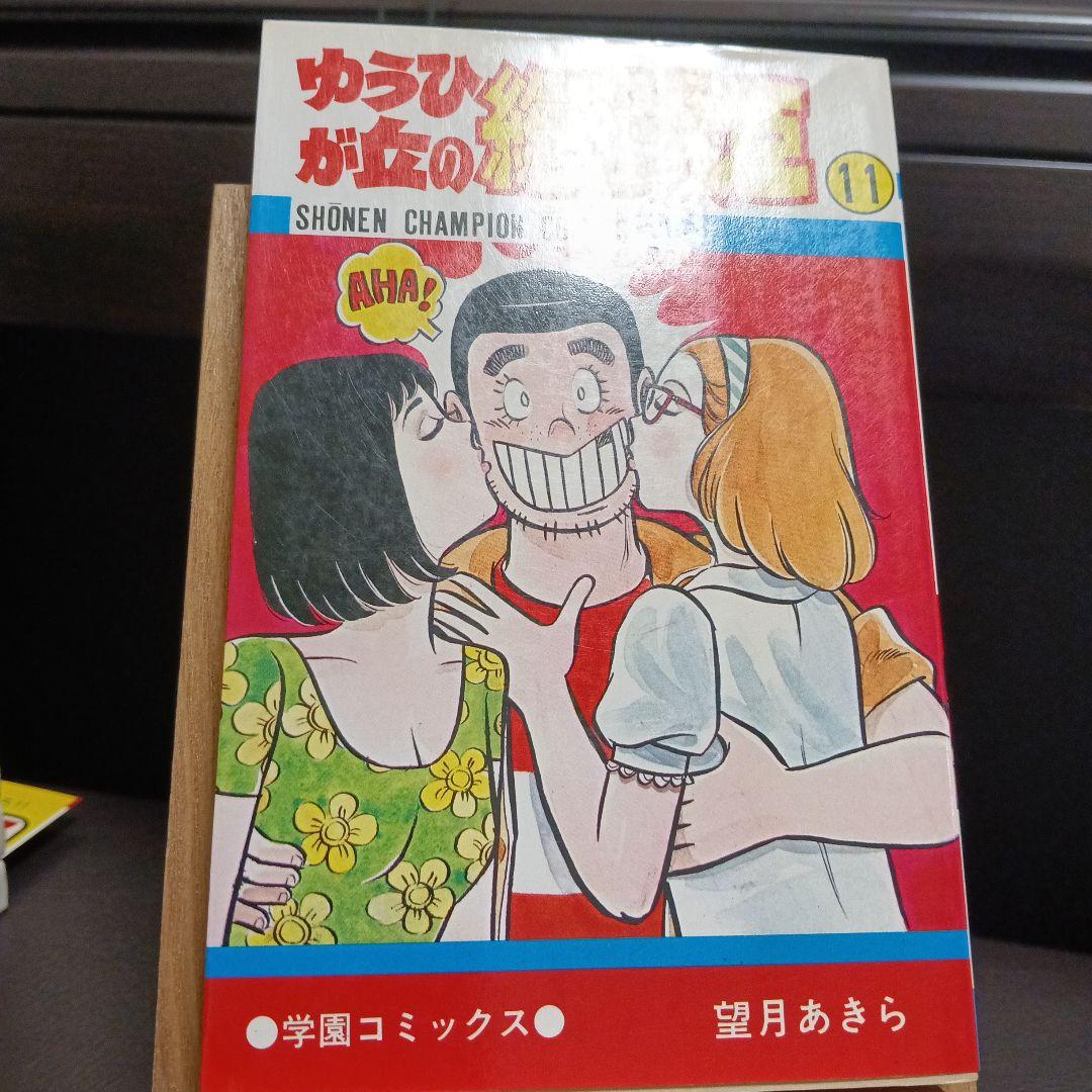ゆうひが丘の総理大臣　望月あきら　全巻セット 2巻以外初版