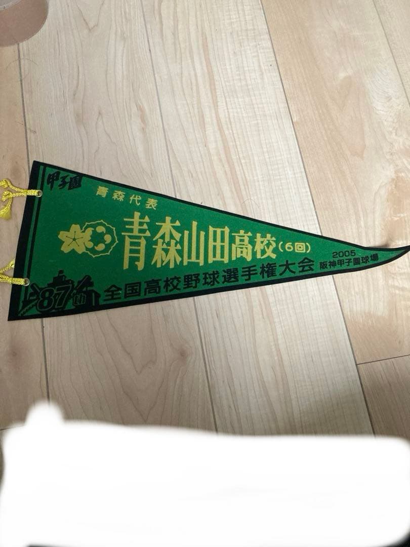 第87回全国高校野球選手権大会　甲子園出場校ペナント　まとめ売り
