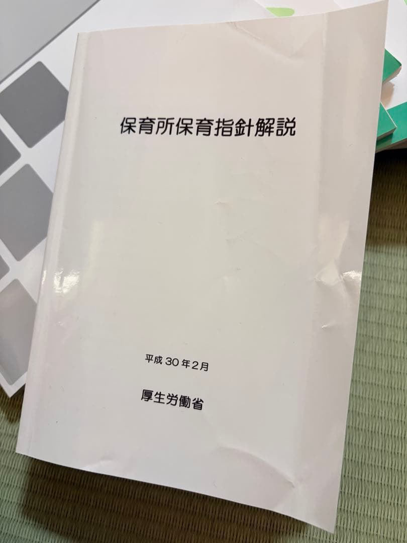 保育所保育指針解説