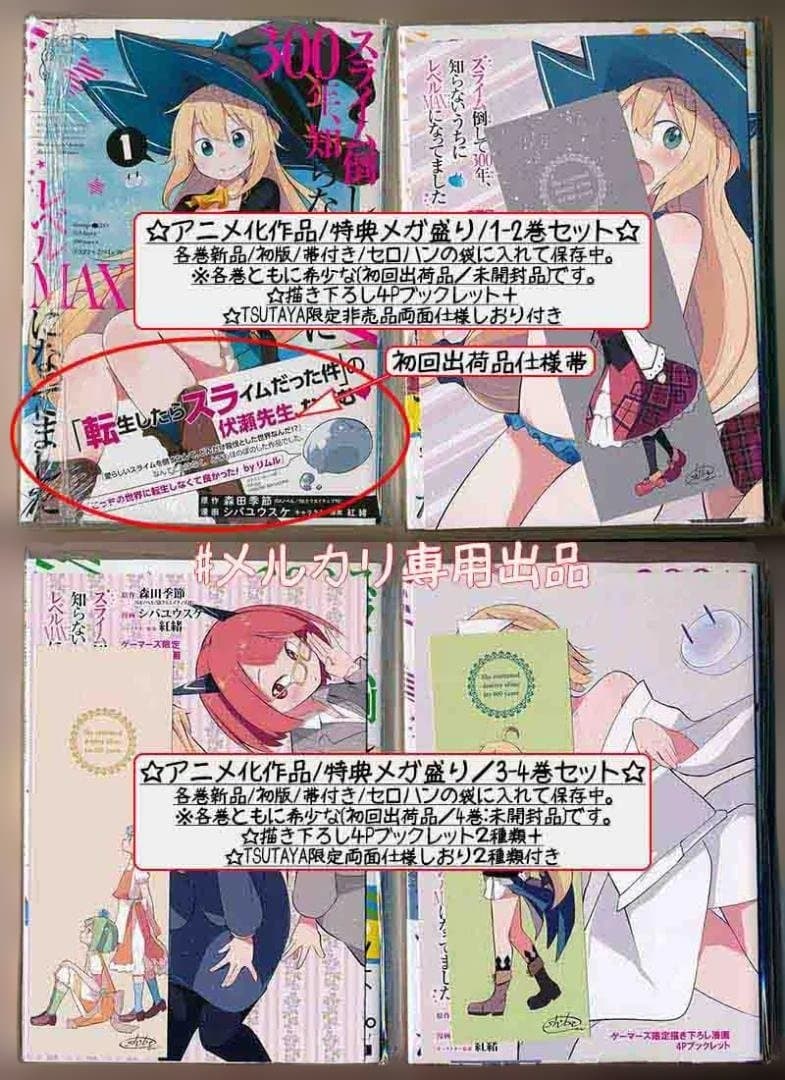 スライム倒して300年、知らないうちにレベルMAXになってました1-17+4冊